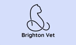 Brighton Veterinary Clinic