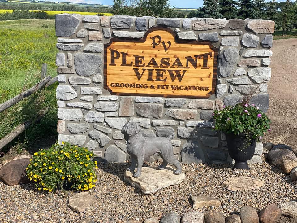 Pleasant View