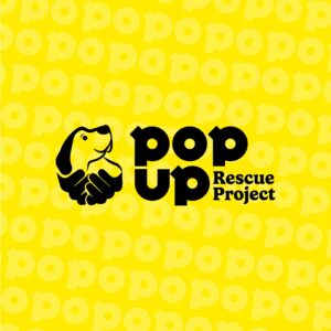 Pop-Up Rescue Project