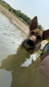 Ranger-loving-lake-life