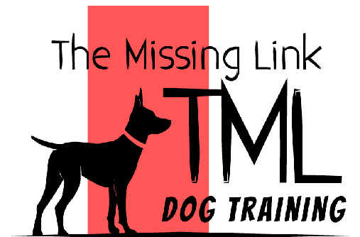 The Missing Link Dog Training