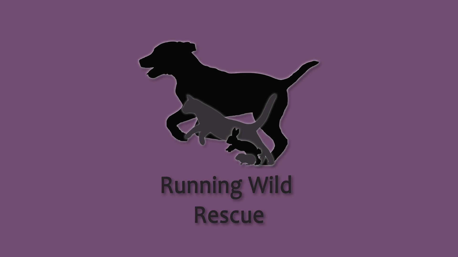Local Rescue Feature - Running Wild Rescue — SaskPets