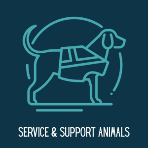 httpssaskpets.comshop (5)