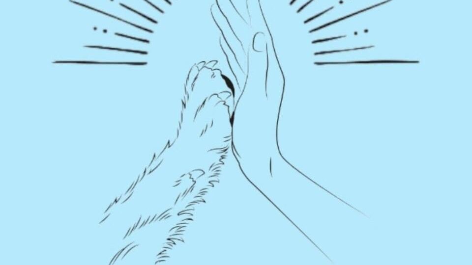 Pawsitive Touch Grooms