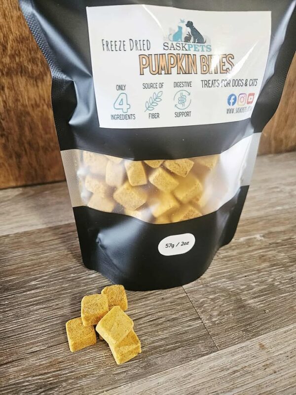 Pumpkin Bites - Image 4