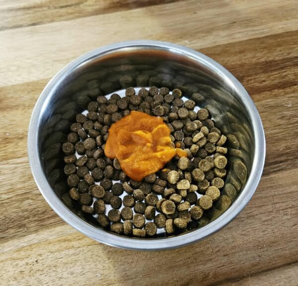 Pumpkin Puree Powder - Image 4