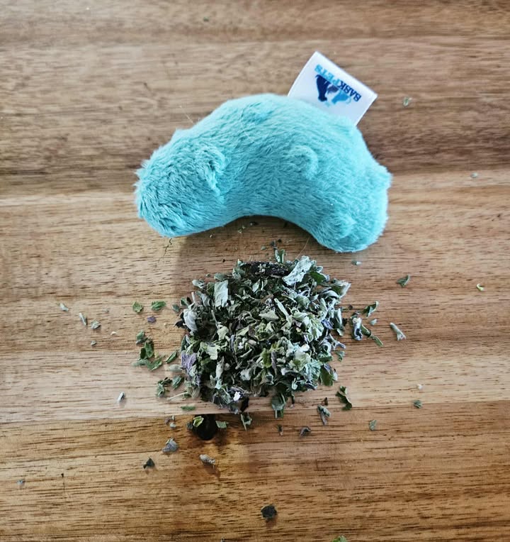 Mini Catnip Pickles - Image 2