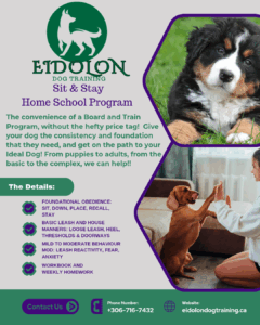 Sit_Stay-ad_20250825_185241_0000