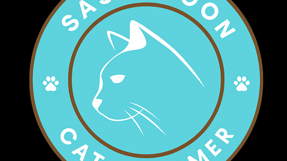 Saskatoon Cat Groomer