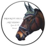 92393491_2828146730614430_2429875664652861440_n