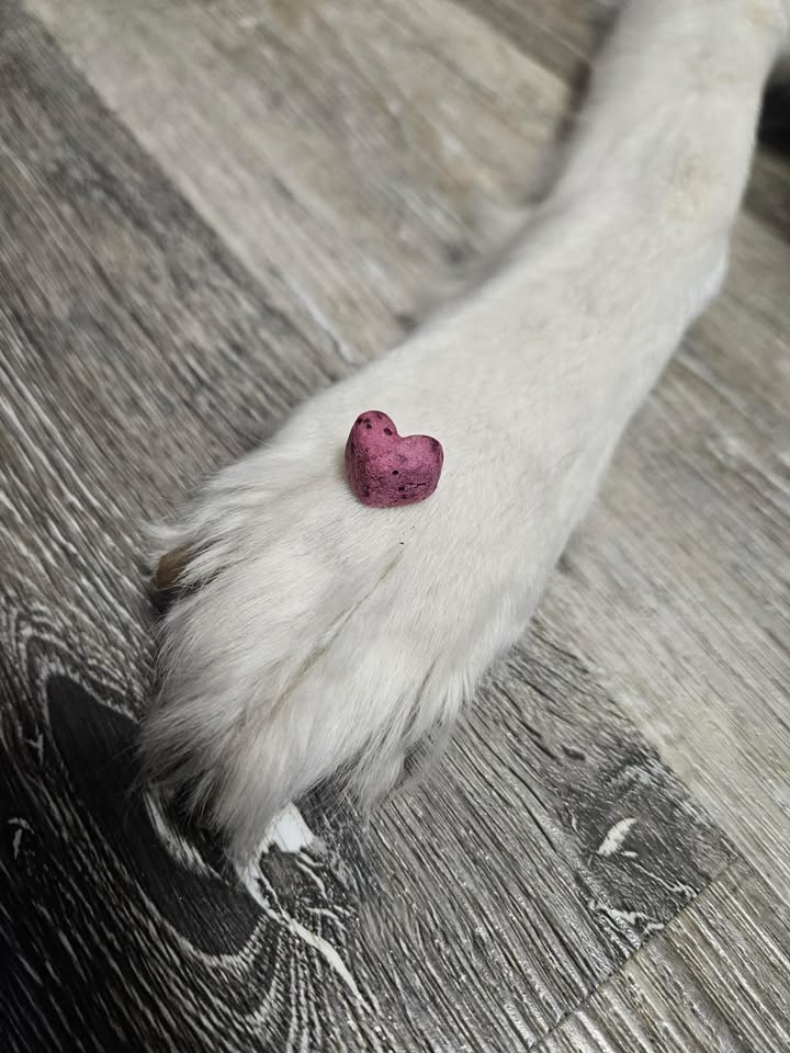 Freeze Dried Hearty Smoothie Bites - Image 7