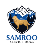 Screenshot 2026-01-03 142323