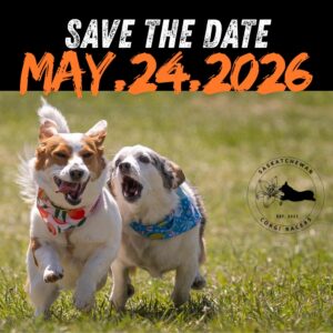 613283311_865741619538156_8776017580525294735_n