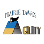 Untitled design (10)