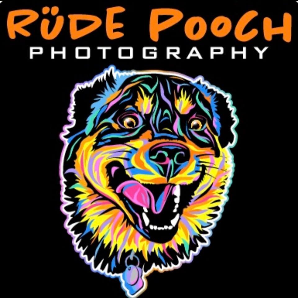 587429190_122151689348876182_7844891405746108948_n