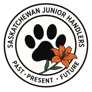 590231463_122135815352973865_7632908458496942704_n