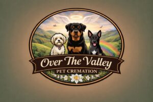 675899260_10164068958199757_4429622249009476882_n