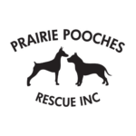 Untitled design (14)