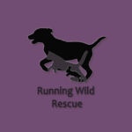 Untitled design (15)